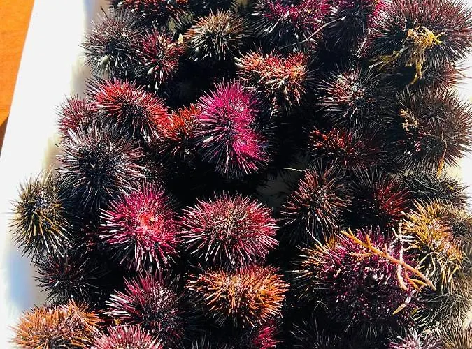 Te Aldo מלון Kuraten