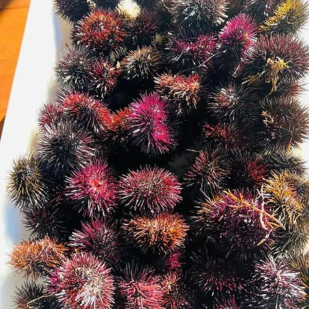 Te Aldo Ξενοδοχείο Kuraten