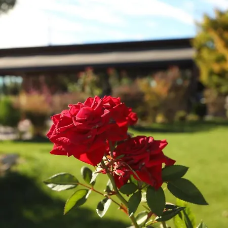 Otel Te Aldo Kuraten